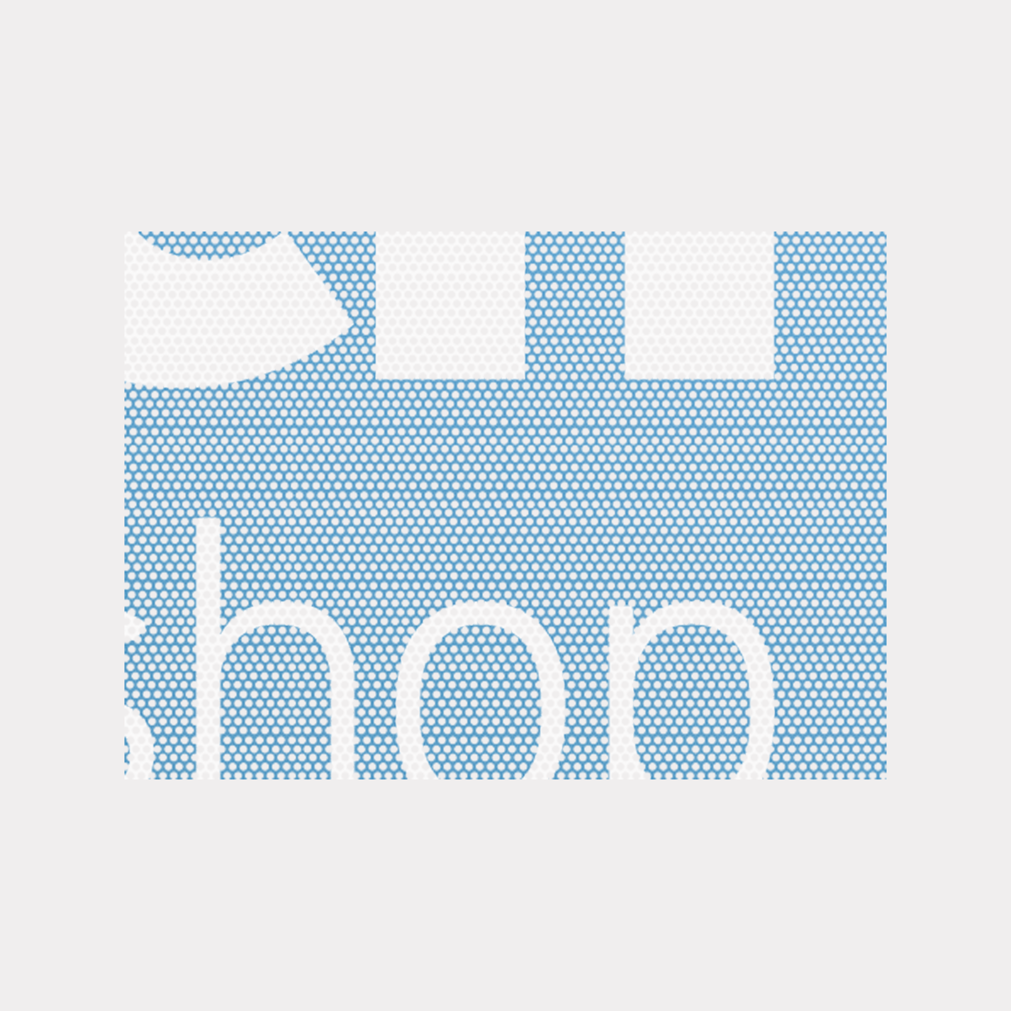 Bedruckte Lochfolien für Fenster und Fahrzeuge online bestellen im Designreich Druckshop